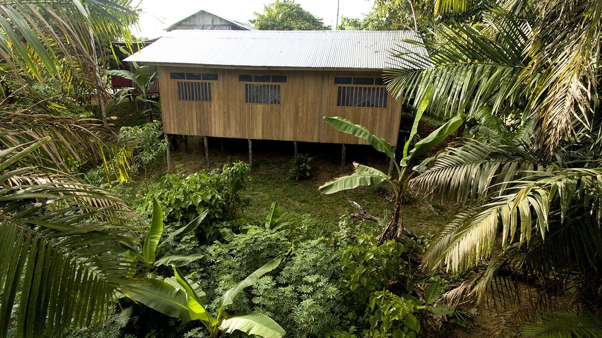 Отель La Ceiba, Amazonas Летисия Экстерьер фото