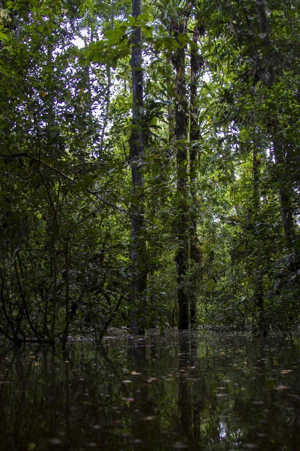 Отель La Ceiba, Amazonas Летисия Экстерьер фото