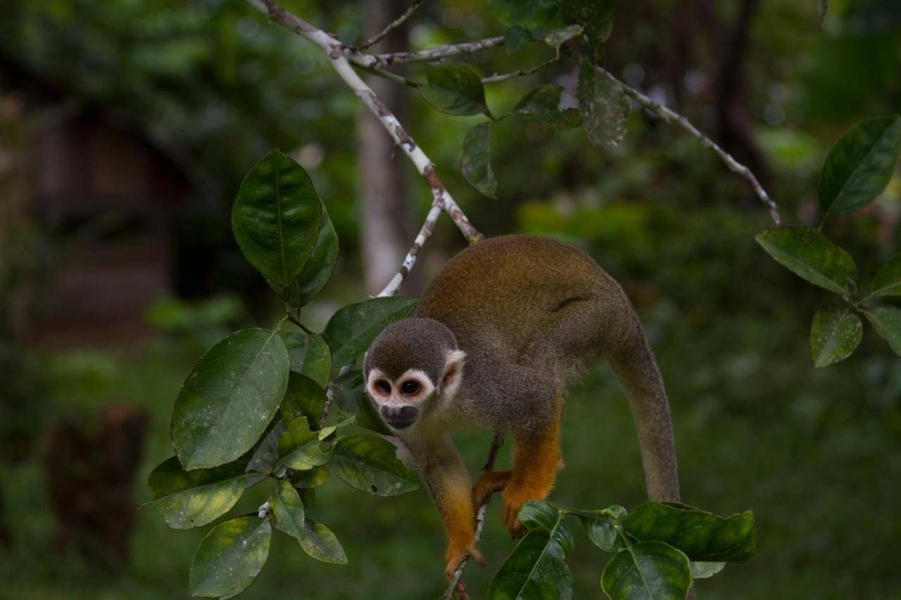 Отель La Ceiba, Amazonas Летисия Экстерьер фото